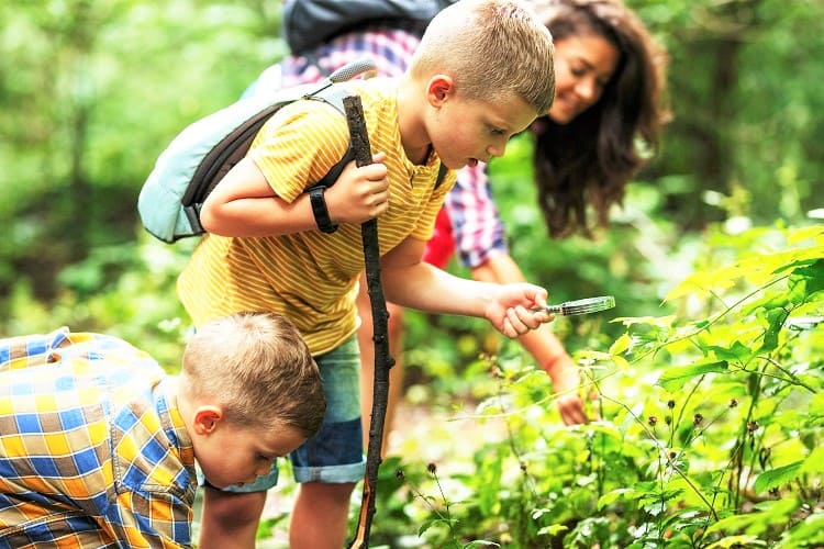 Sovesal indlysende Avl The Must-Do Nature Activities for Families in the UK